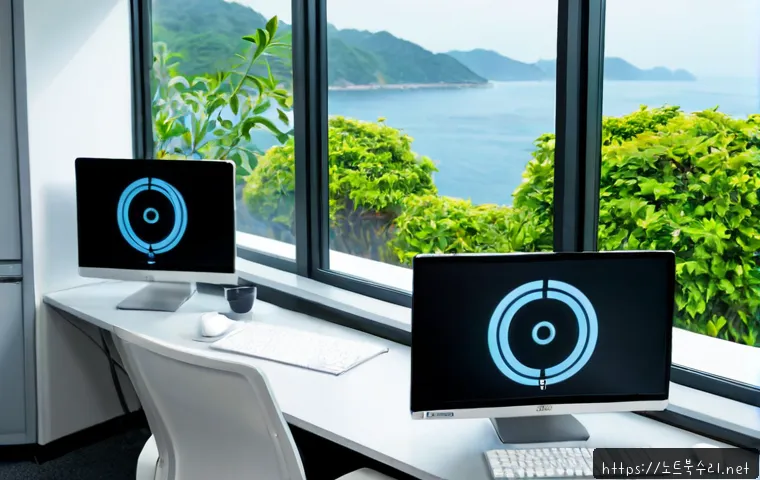 옥련동 STATUS_INVALID_LOCK_SEQUENCE 관련 이미지 4