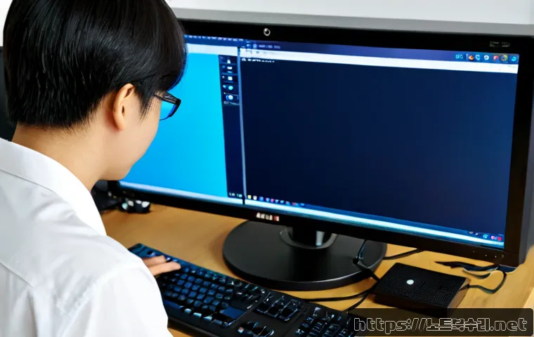 금광동 프리도스 윈도우설치 - Photorealistic remote-support technician configuring a fresh desktop operating system on a dual-moni...