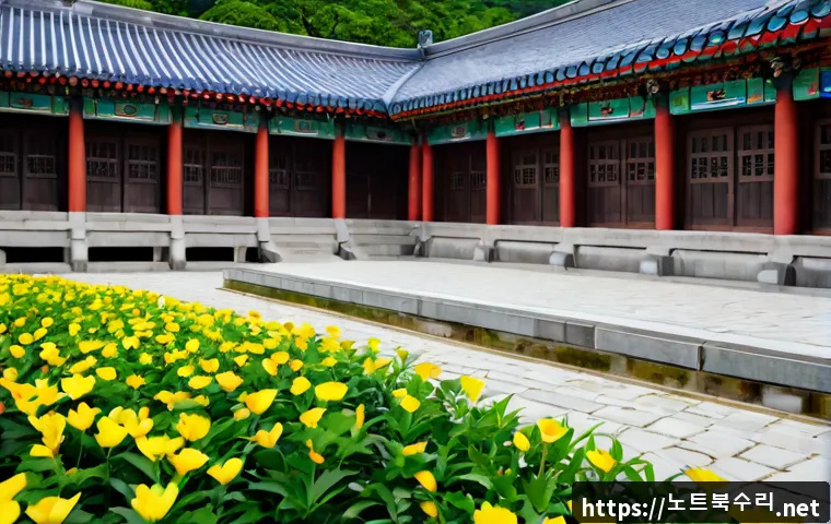 설악면 STATUS_NO_MEMORY 관련 이미지 5