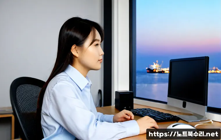 여수동 BOOTMGR is missing 관련 이미지 2