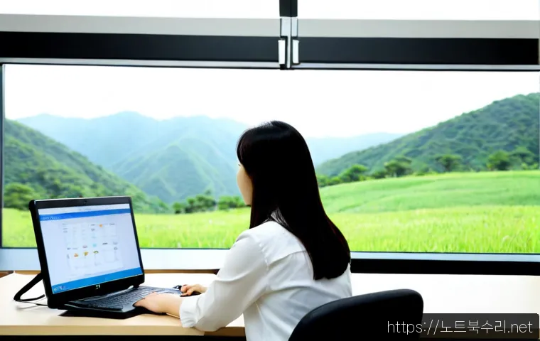 대덕동 STATUS_KERNEL_PERMISSION_DENIED 관련 이미지 3