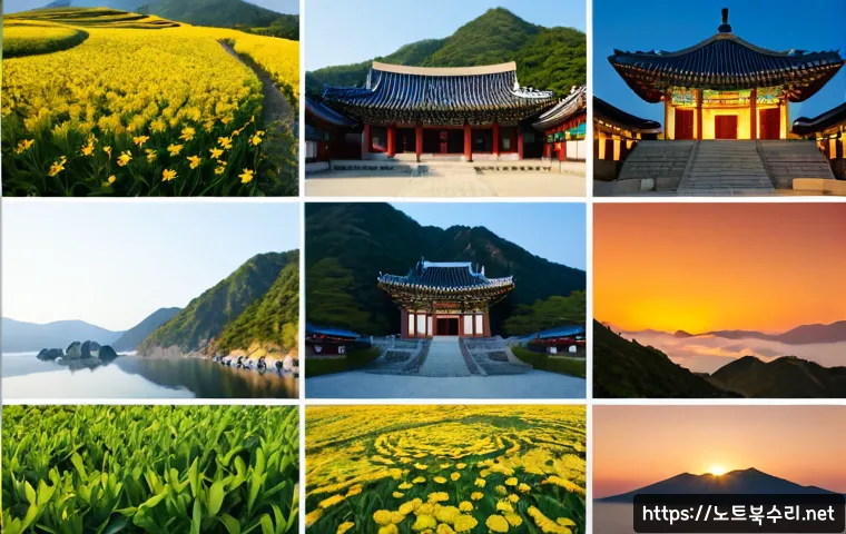 포천시 케이블연결확인 관련 이미지 5