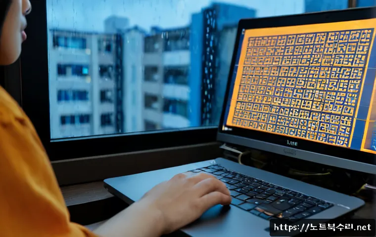 수진동 STATUS_DATATYPE_MISALIGNMENT 관련 이미지 2