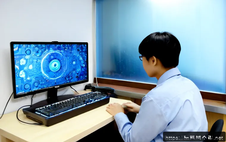 이동면 STATUS_MEMORY_VIOLATION 관련 이미지 3