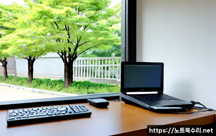 양천구 INACCESSIBLE_BOOT_DEVICE 관련 이미지 2