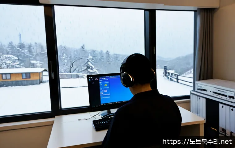공도읍 STATUS_MEMORY_ACCESS_DENIED 관련 이미지 3