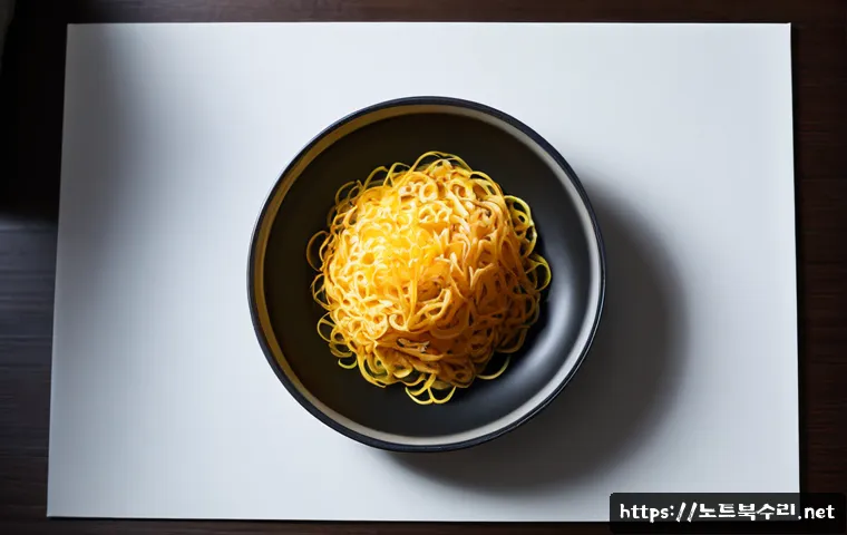 미산면 STATUS_INVALID_PAGE 관련 이미지 5