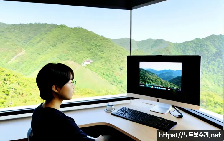 이동면 IO_DEVICE_ERROR 관련 이미지 4