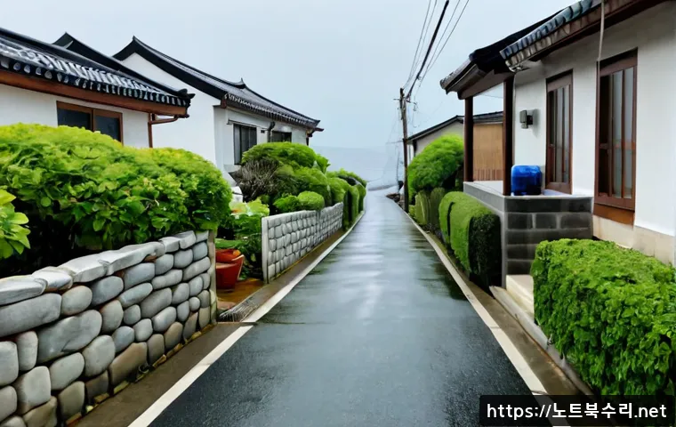 해안동 STATUS_NO_MEMORY 관련 이미지 3