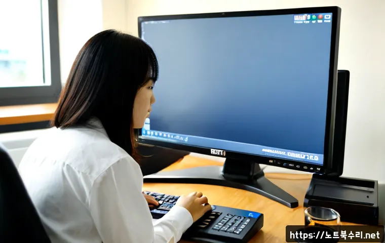 홍문동 STATUS_INVALID_PAGE 관련 이미지 2