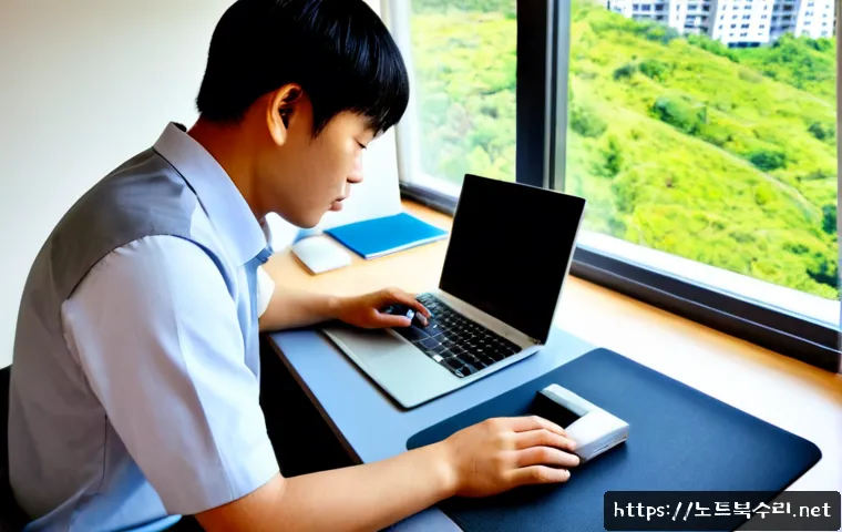 학암동 STATUS_KERNEL_INIT_FAILURE 관련 이미지 4