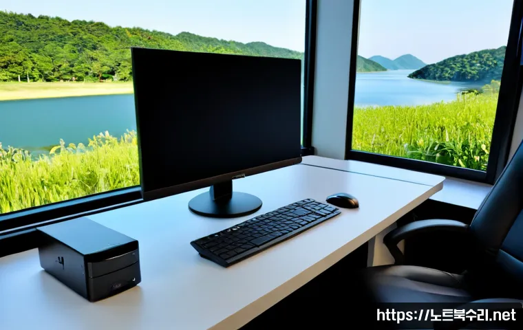 일산 VIDEO_MEMORY_MANAGEMENT_INTERNAL 관련 이미지 1