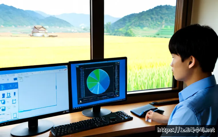 안성시 VIDEO_MEMORY_MANAGEMENT_INTERNAL 관련 이미지 2