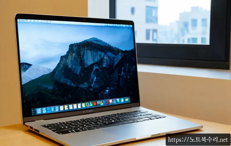 청계동 macosX재설치 포맷  초기화 - Photorealistic remote-support workstation in a quiet Cheonggye-dong apartment, slim silver laptop di...