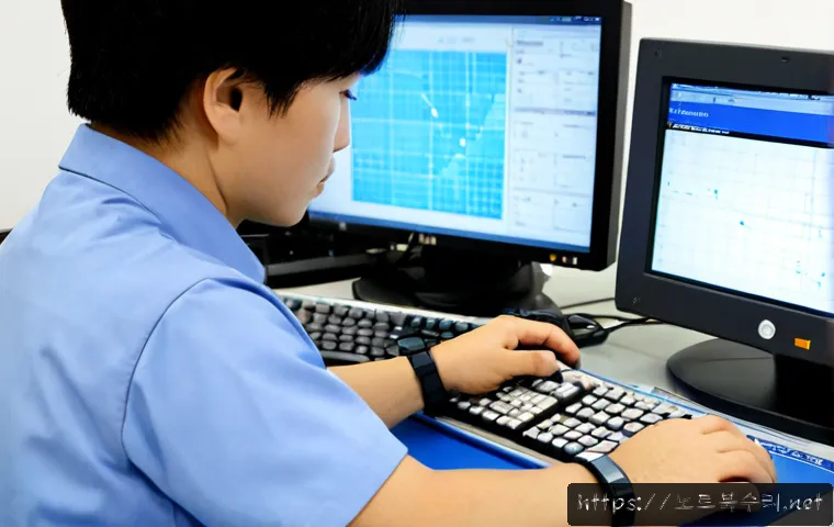 원천동 STATUS_MEMORY_ACCESS_DENIED 관련 이미지 4