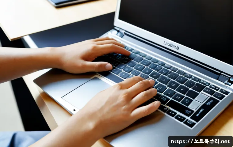 부흥동 macosX재설치 포맷 초기화 관련 이미지 1