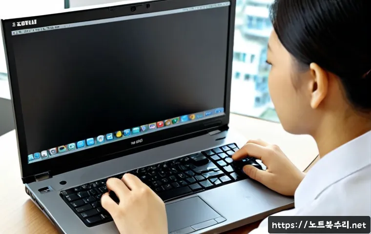 부흥동 macosX재설치 포맷 초기화 관련 이미지 4