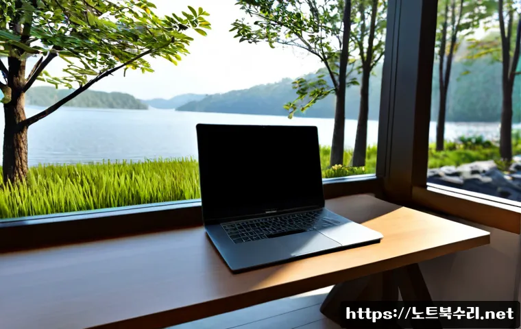 고양시 STATUS_KERNEL_RESOURCE_ERROR 관련 이미지 1
