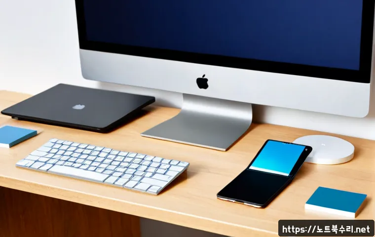태평동 macosX재설치 포맷 초기화 관련 이미지 1