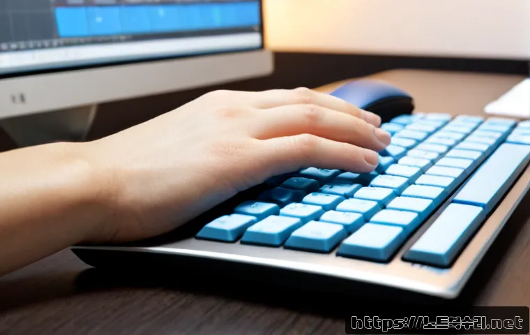 퇴촌면 press f4 key 관련 이미지 1