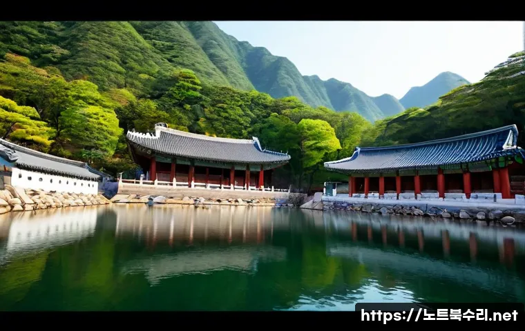 금호동 팬돌다 멈춤 관련 이미지 5