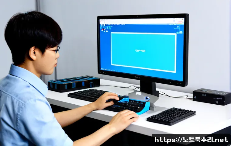 양주동 STATUS_KERNEL_DEBUG_FAILURE 관련 이미지 1