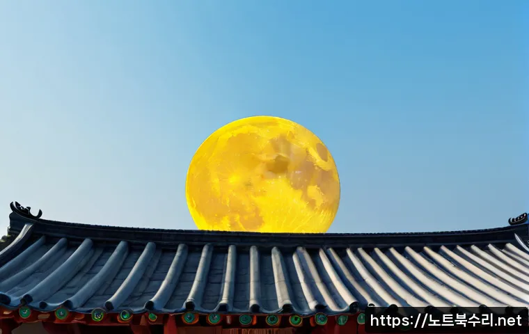 현덕면 STATUS_KERNEL_MODULE_NOT_FOUND 관련 이미지 5
