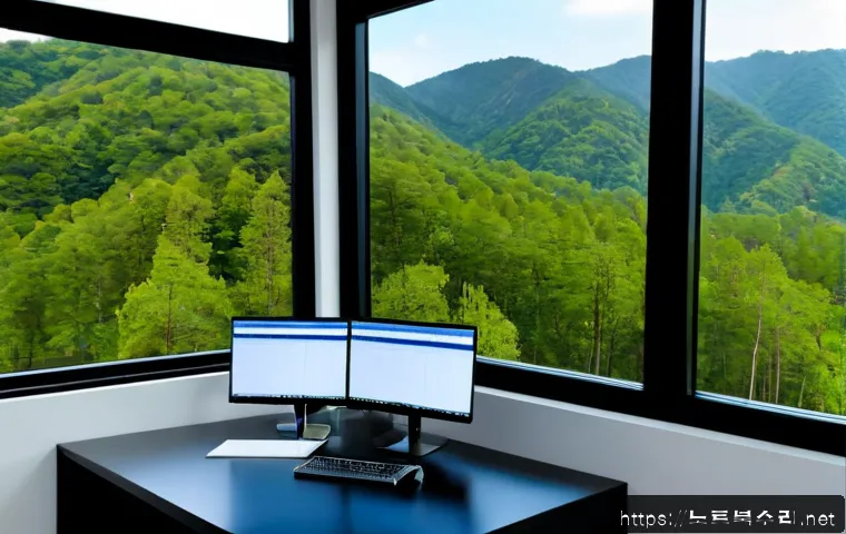 호평동 THREAD_STUCK_IN_DEVICE_DRIVER 관련 이미지 3