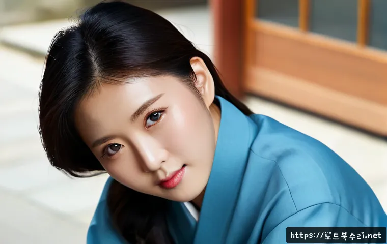 성북구 STATUS_INVALID_DISPOSITION 관련 이미지 5