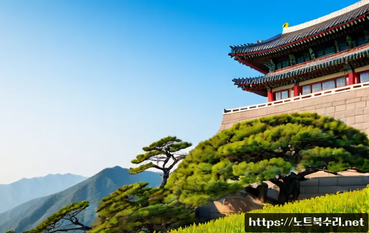 포승읍 VIDEO_MEMORY_MANAGEMENT_INTERNAL 관련 이미지 5