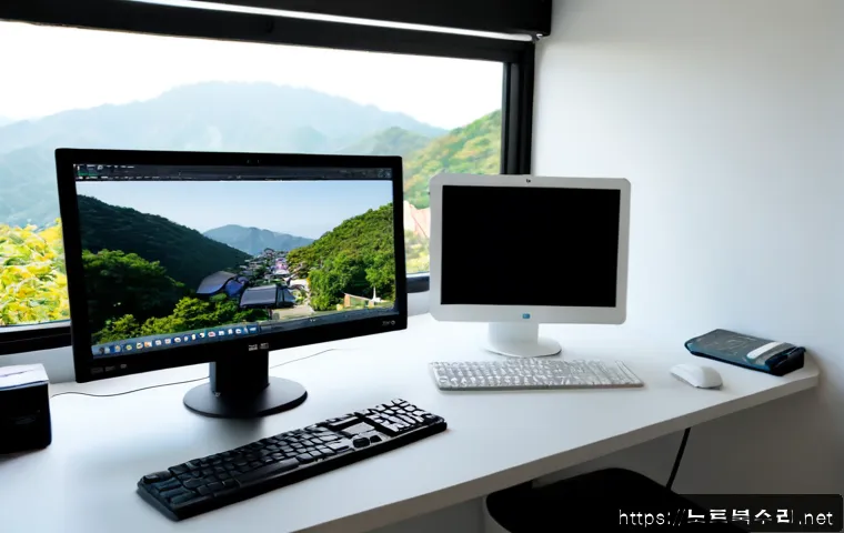 청학동 프로그램응답없음 관련 이미지 1