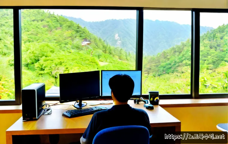 구기동 STATUS_KERNEL_NETWORK_ERROR - Photorealistic remote-support workstation in a quiet Gugidong home office, dual monitors showing abs...