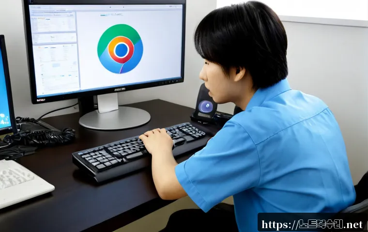 일신동 DRIVER_CAUSED_SYSTEM_CRASH 관련 이미지 2