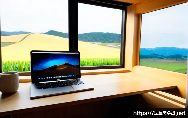 북내면 STATUS_FLOAT_OVERFLOW 관련 이미지 2