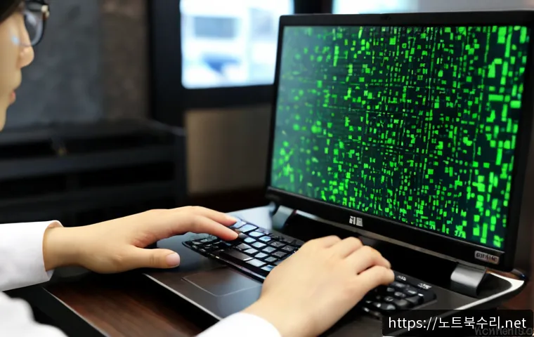 남촌동 STATUS_FILE_CORRUPTION 관련 이미지 4