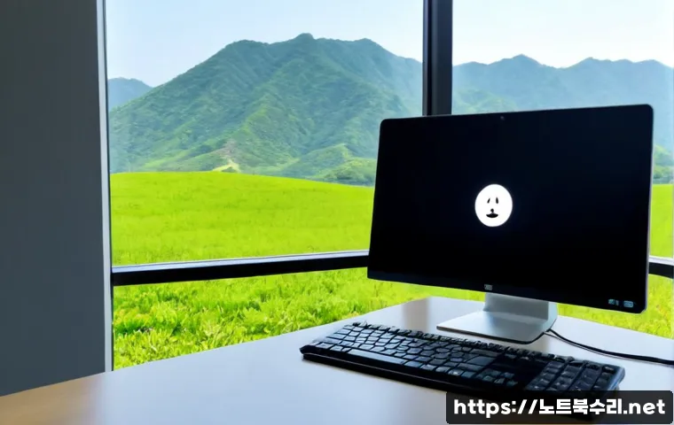 남면 DPC_WATCHDOG_VIOLATION 관련 이미지 2