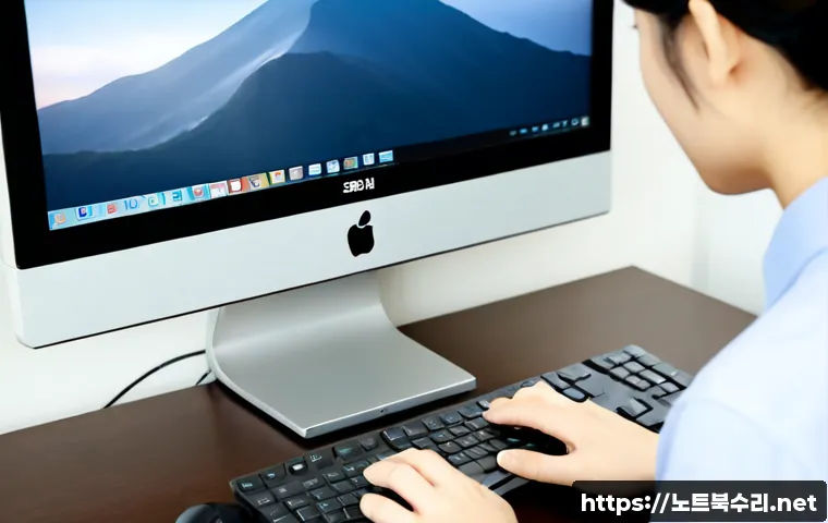 상도동 윈도우11 windows11 재설치 포맷 초기화 관련 이미지 2