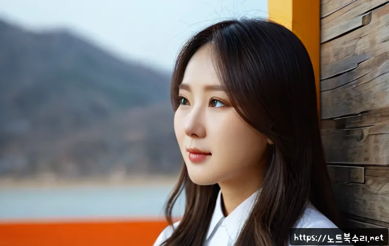 흥인동 CLOCK_WATCHDOG_TIMEOUT 관련 이미지 5