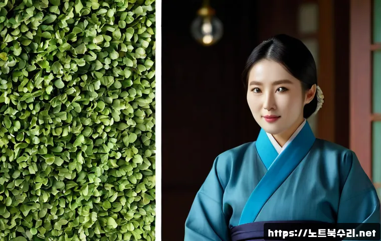 순화동 입력신호가 없습니다 관련 이미지 5