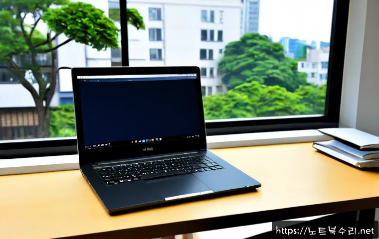 대화동 STATUS_IMAGE_NOT_FOUND 관련 이미지 2
