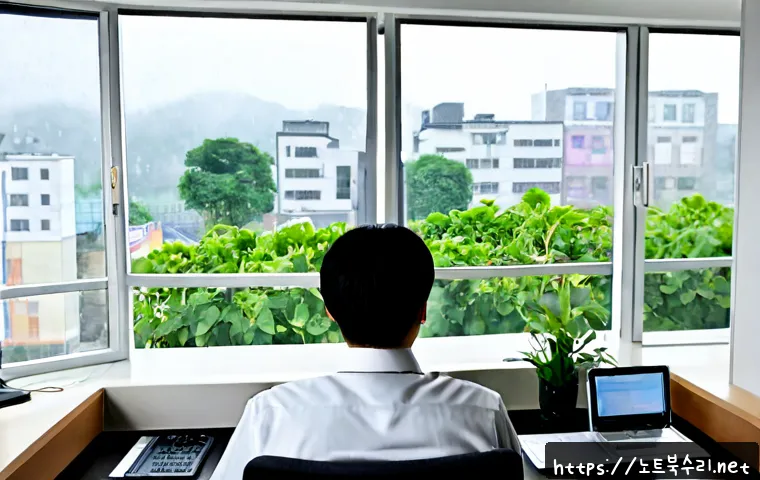봉남동 STATUS_KERNEL_PERMISSION_DENIED 관련 이미지 4