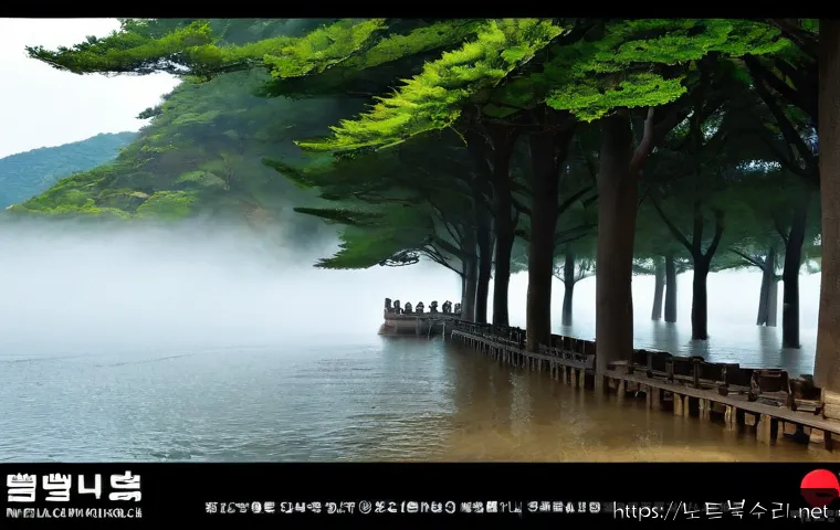 김량장동 컴퓨터업그레이드 관련 이미지 5