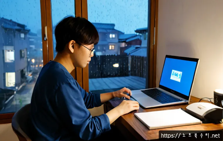 지영동 DRIVER_VERIFIER_DETECTED_VIOLATION 관련 이미지 4